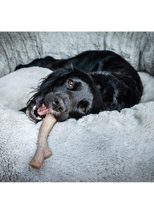 Nylabone Tuggleksak För Hundar Nylabone Brun Jordnötssmör Xl