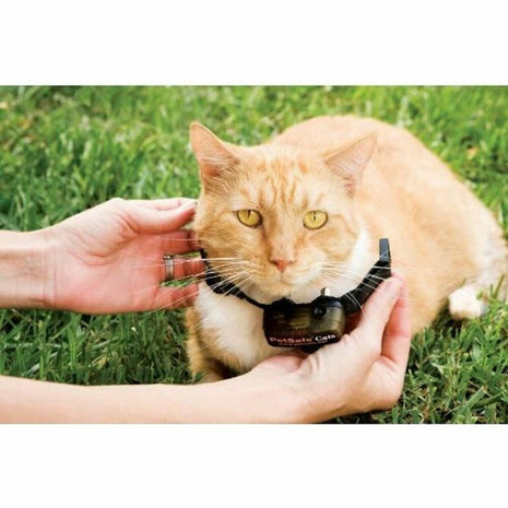 Petsafe Katt Krage Petsafe Prf-3004Xw-20