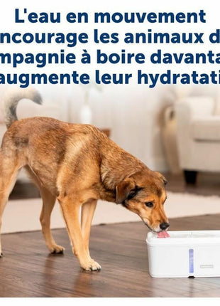 Petsafe Fontän För Husdjur Petsafe Vit