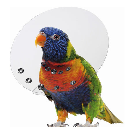 Elizabethan Bird Collar Kvp Saftshield Transparent (7-8,9 Cm)