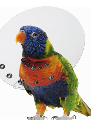 Elizabethan Bird Collar Kvp Saftshield Transparent (12-14 Cm)