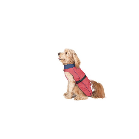 Dog Gone Smart Regnrock För Hundar Dog Gone Smart Korall 40 Cm