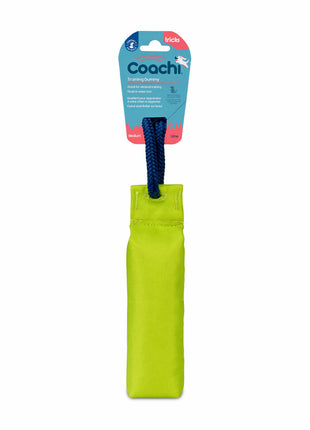 Coachi Training Toy Coachi