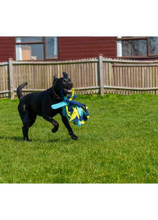 Coachi Training Toy Coachi Tuggi Spider Blå