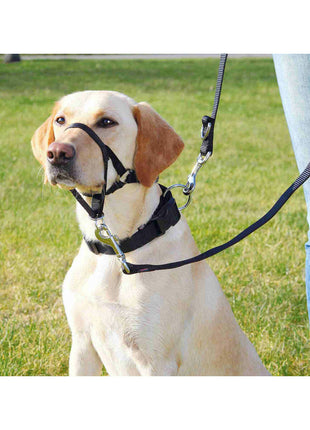 Trixie Guide Sele För Hund Trixie Top Trainer Svart L