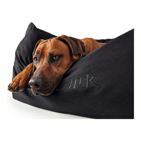 Hunter Dog Sofa Hunter Gent Svart Polyester Black (60 X 45 Cm)