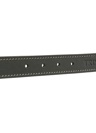 Trixie Hundhalsband Trixie Rustic Grå L/Xl 57-66 Cm