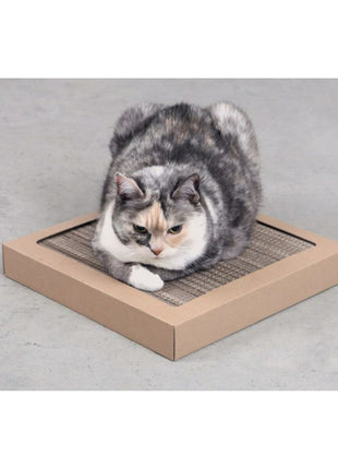 Klösbräda För Katter Carton+Pets Papp Brons 34,5 X 4 X 34,5 Cm