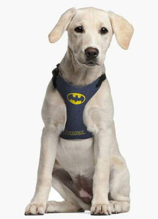 Batman Hundsele Batman Xxs/Xs Blå