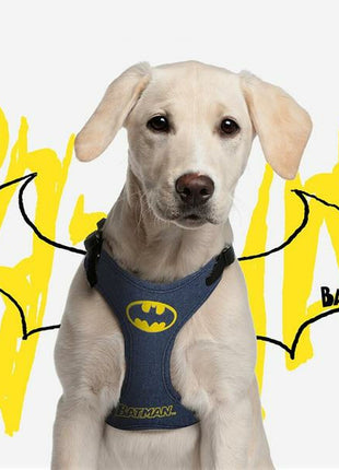 Batman Hundsele Batman Xxs/Xs Blå