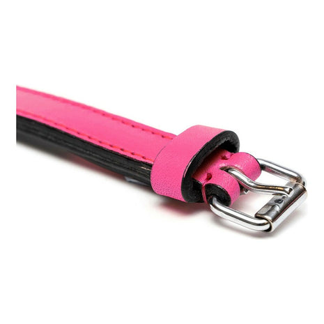 Gloria Hundhalsband Gloria Vadderad Fuchsia (30 X 1,5 Cm)