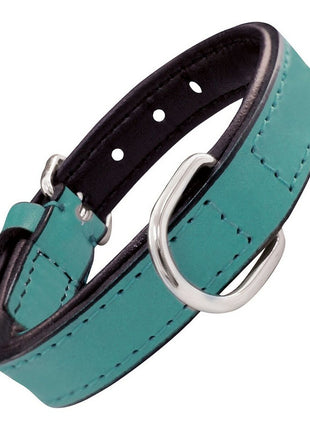 Gloria Hundhalsband Gloria Vadderad Turquoise 40 Cm (40 X 2 Cm)