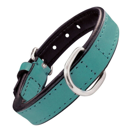 Gloria Hundhalsband Gloria Vadderad Turquoise 40 Cm (40 X 2 Cm)