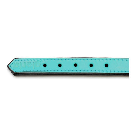 Gloria Hundhalsband Gloria Vadderad Turquoise 40 Cm (40 X 2 Cm)