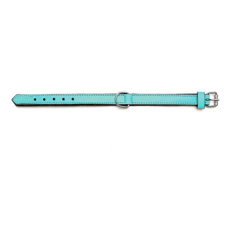 Gloria Hundhalsband Gloria Vadderad Turquoise 45 Cm (45 X 2 Cm)