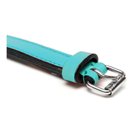 Gloria Hundhalsband Gloria Vadderad Turquoise 55 Cm (55 X 2,5 Cm)