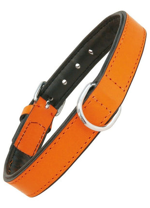 Gloria Hundhalsband Gloria Vadderad Orange (30 X 1,5 Cm)