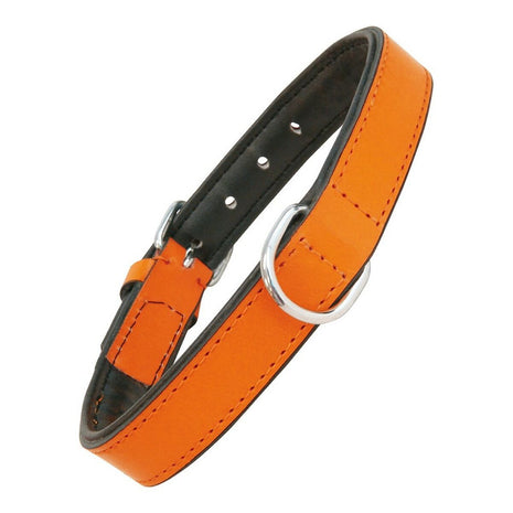 Gloria Hundhalsband Gloria Vadderad Orange (30 X 1,5 Cm)