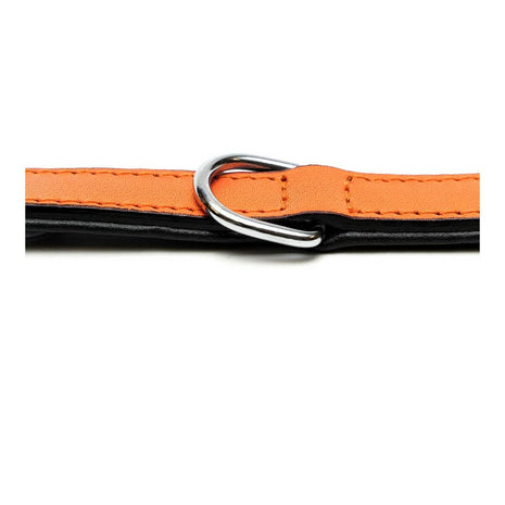 Gloria Hundhalsband Gloria Vadderad Orange (30 X 1,5 Cm)