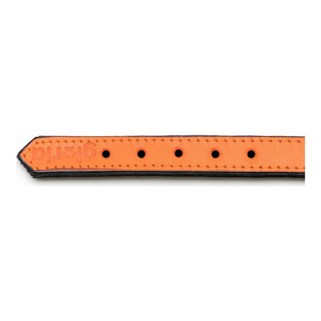 Gloria Hundhalsband Gloria Vadderad Orange (55 X 2,5 Cm)