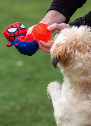 Spider-Man Hundleksak Spider-Man Röd