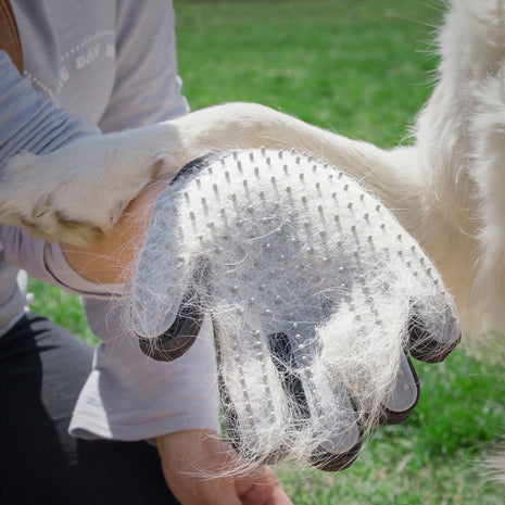 Innovagoods Handske För Att Borsta Och Massera Husdjur Från Relpet Innovagoods