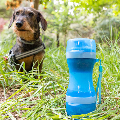 Innovagoods Två I En-Flaska Med Vatten Och Matbehållare För Husdjur Pettap Innovagoods